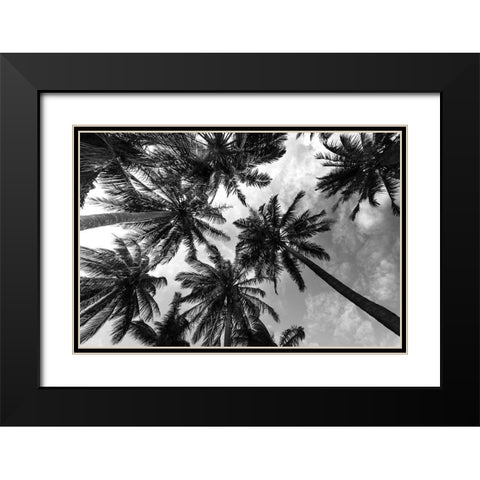 Passerby Palms 2 Black Modern Wood Framed Art Print with Double Matting by Prime, Marcus