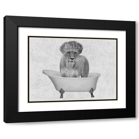 Bathing Lioness 2 Black Modern Wood Framed Art Print with Double Matting by Prime, Marcus