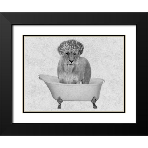 Bathing Lioness 2 Black Modern Wood Framed Art Print with Double Matting by Prime, Marcus