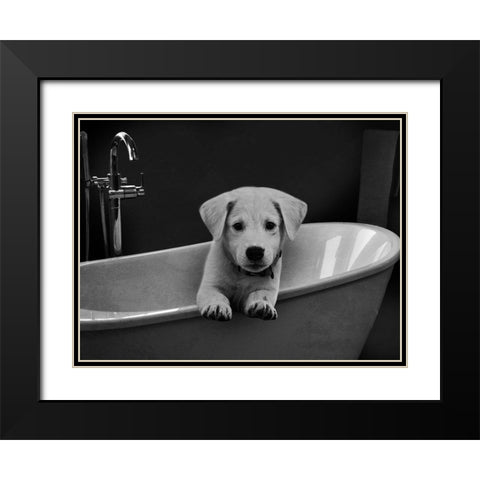 Bathroom Friend 1 Black Modern Wood Framed Art Print with Double Matting by Prime, Marcus