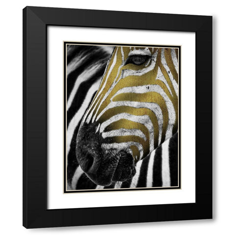 Vibrant Zebra Black Modern Wood Framed Art Print with Double Matting by Prime, Marcus