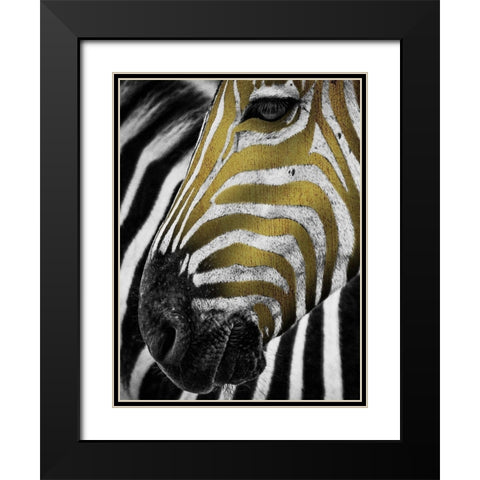Vibrant Zebra Black Modern Wood Framed Art Print with Double Matting by Prime, Marcus