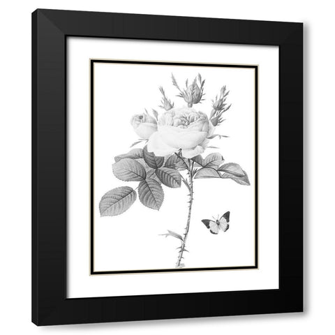 Greyscale Floral Black Modern Wood Framed Art Print with Double Matting by Villa, Mlli