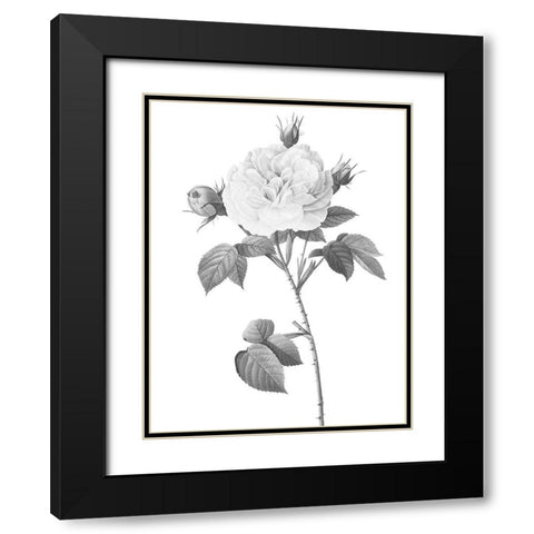 Greyscale Floral Two Black Modern Wood Framed Art Print with Double Matting by Villa, Mlli