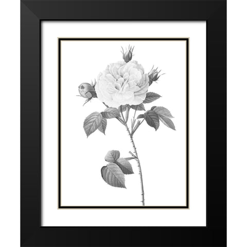 Greyscale Floral Two Black Modern Wood Framed Art Print with Double Matting by Villa, Mlli