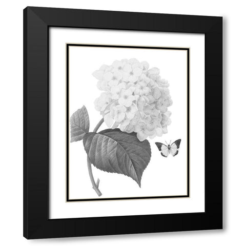 Greyscale Floral Four Black Modern Wood Framed Art Print with Double Matting by Villa, Mlli