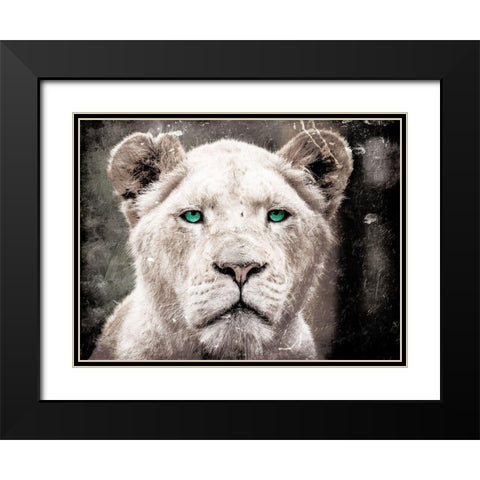 Lioness Look Black Modern Wood Framed Art Print with Double Matting by Villa, Mlli