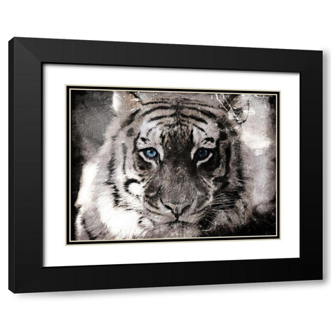 Tiger Look Black Modern Wood Framed Art Print with Double Matting by Villa, Mlli