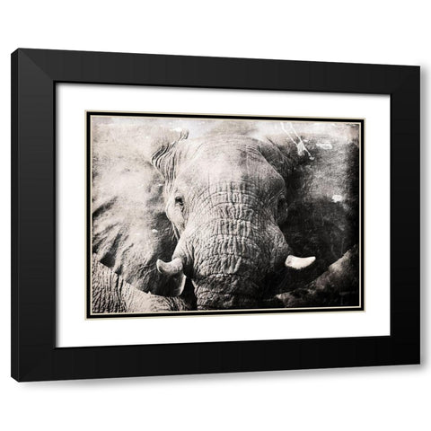 Elephant Look Black Modern Wood Framed Art Print with Double Matting by Villa, Mlli