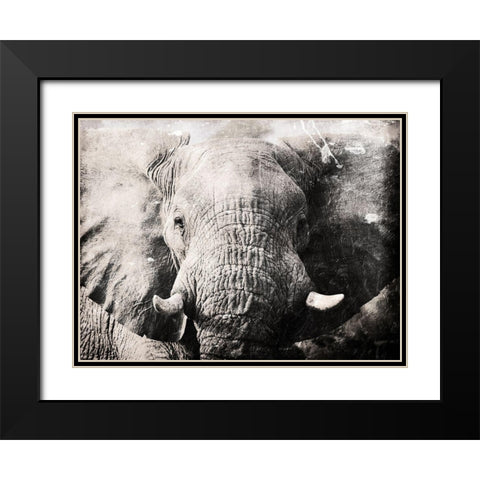 Elephant Look Black Modern Wood Framed Art Print with Double Matting by Villa, Mlli