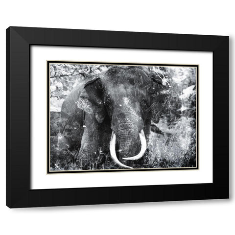Elephant Look Two Black Modern Wood Framed Art Print with Double Matting by Villa, Mlli
