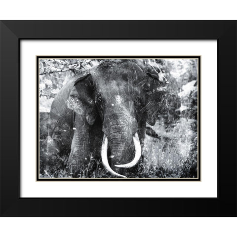 Elephant Look Two Black Modern Wood Framed Art Print with Double Matting by Villa, Mlli