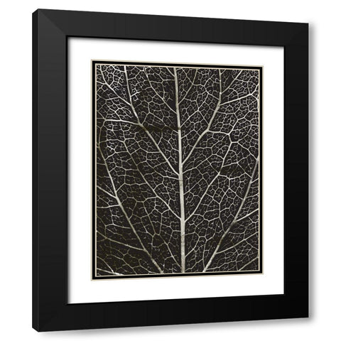 Charcoal Leaf Grain Black Modern Wood Framed Art Print with Double Matting by Villa, Mlli
