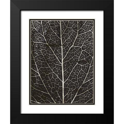 Charcoal Leaf Grain Black Modern Wood Framed Art Print with Double Matting by Villa, Mlli