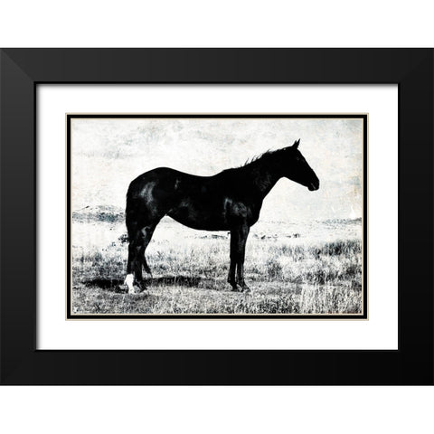 Horse Stance Black Modern Wood Framed Art Print with Double Matting by Villa, Mlli