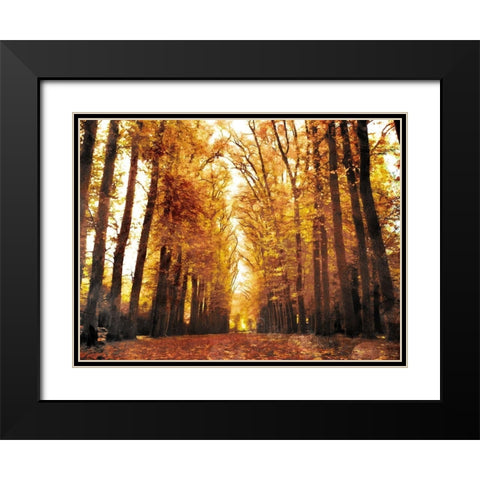 Fallow Your Path Black Modern Wood Framed Art Print with Double Matting by Villa, Mlli