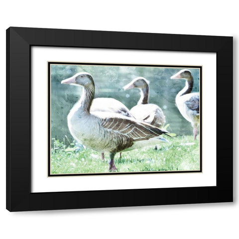Goose Crew Black Modern Wood Framed Art Print with Double Matting by Villa, Mlli
