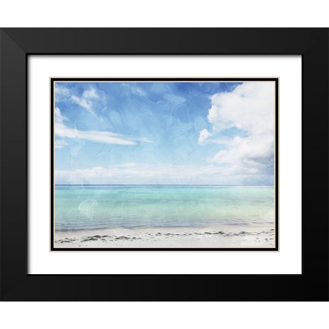 Sea Life Black Modern Wood Framed Art Print with Double Matting by Villa, Mlli