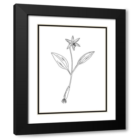Clean Flowers Black Modern Wood Framed Art Print with Double Matting by Villa, Mlli