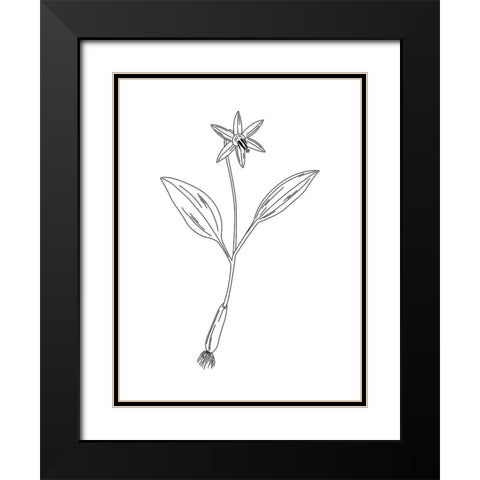 Clean Flowers Black Modern Wood Framed Art Print with Double Matting by Villa, Mlli