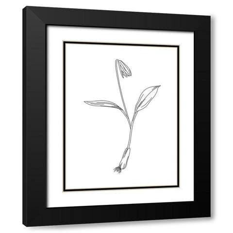 Clean Flowers Mate Black Modern Wood Framed Art Print with Double Matting by Villa, Mlli