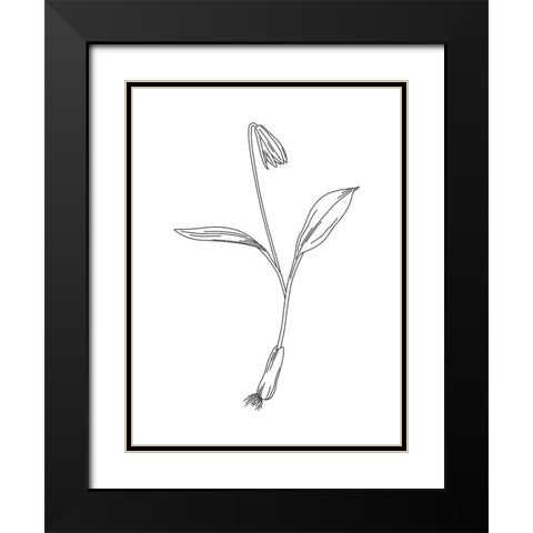 Clean Flowers Mate Black Modern Wood Framed Art Print with Double Matting by Villa, Mlli