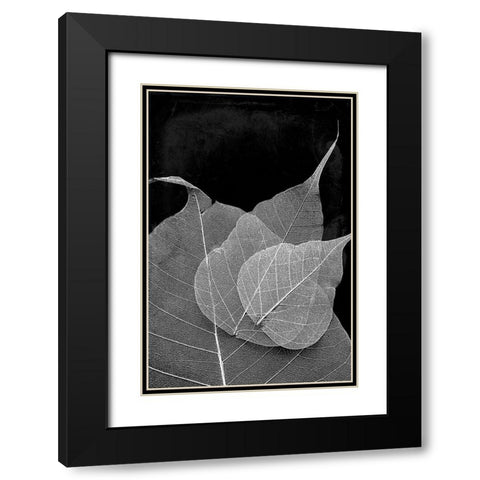 Leaves In The Dark Black Modern Wood Framed Art Print with Double Matting by Villa, Mlli