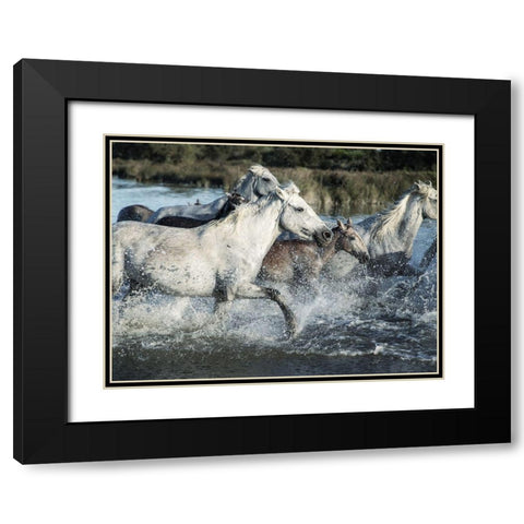 Running Horses Black Modern Wood Framed Art Print with Double Matting by Villa, Milli