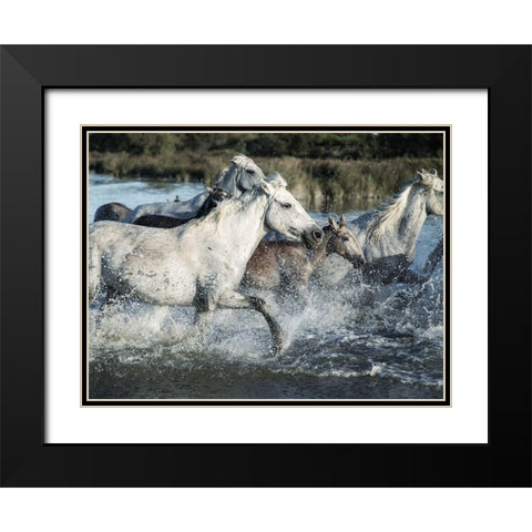 Running Horses Black Modern Wood Framed Art Print with Double Matting by Villa, Milli