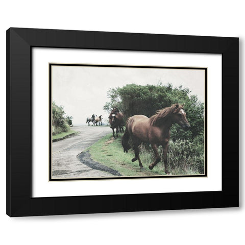 Horses Down The Street Black Modern Wood Framed Art Print with Double Matting by Villa, Milli