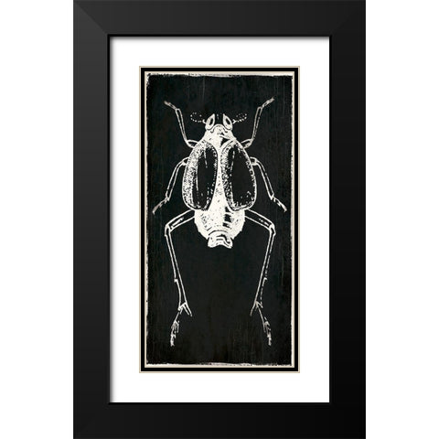Bug Life Two Black Black Modern Wood Framed Art Print with Double Matting by Villa, Mlli