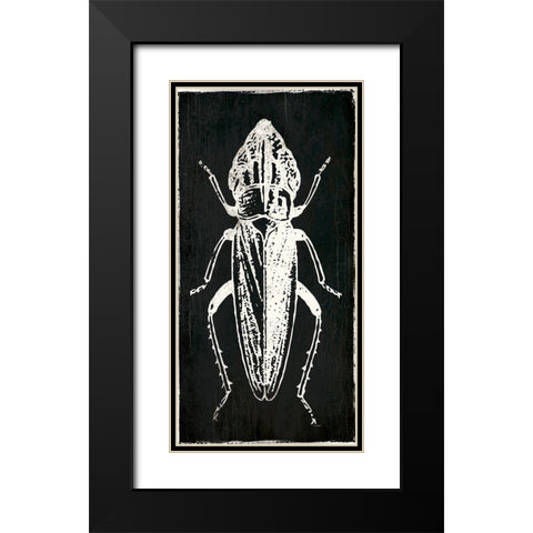Bug Life Three Black Black Modern Wood Framed Art Print with Double Matting by Villa, Mlli