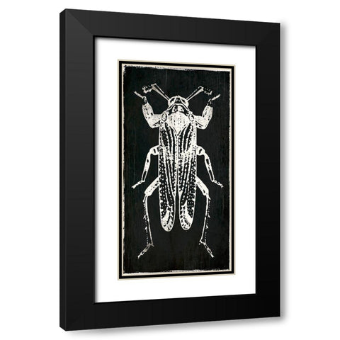Bug Life Four Black Black Modern Wood Framed Art Print with Double Matting by Villa, Mlli