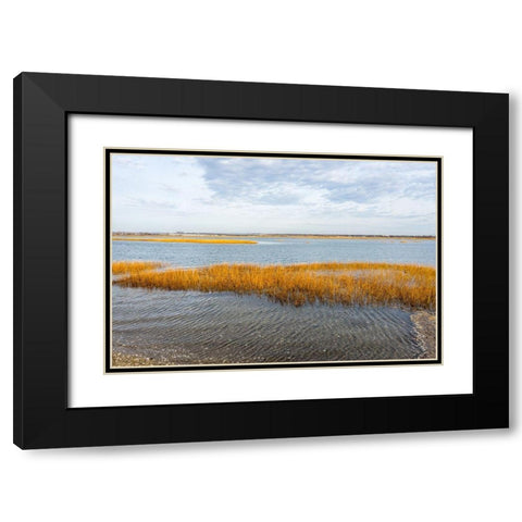 Winter Marsh Black Modern Wood Framed Art Print with Double Matting by Orlando
