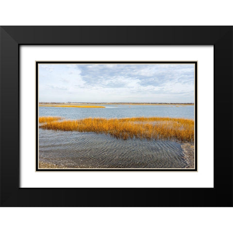 Winter Marsh Black Modern Wood Framed Art Print with Double Matting by Orlando