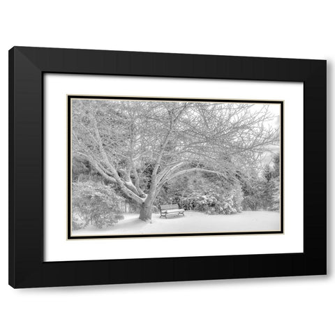 Aboretum December 2 Black Modern Wood Framed Art Print with Double Matting by DeLuca, Pat