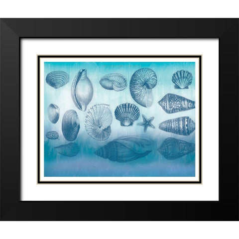 Watercolor Coast Shells Black Modern Wood Framed Art Print with Double Matting by Allen, Candace