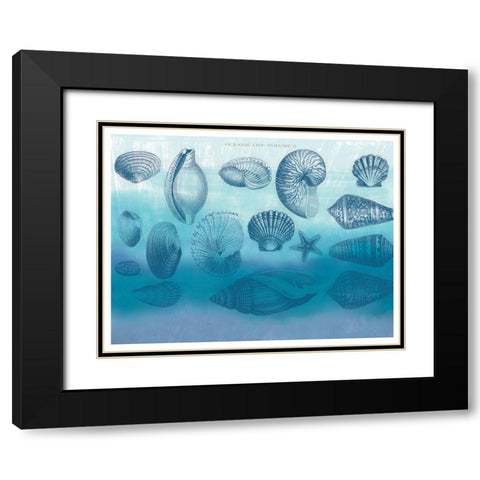Watercolor Coast Shells 2 Black Modern Wood Framed Art Print with Double Matting by Allen, Candace