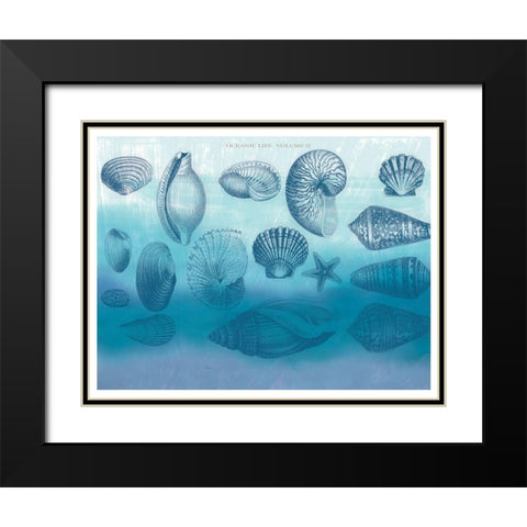 Watercolor Coast Shells 2 Black Modern Wood Framed Art Print with Double Matting by Allen, Candace