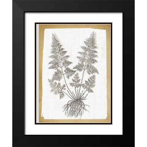 Farmhouse Ferns 1 Black Modern Wood Framed Art Print with Double Matting by Lula Bijoux and Company