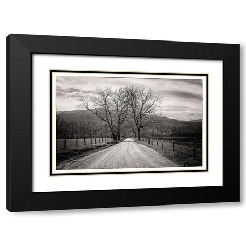 Less Traveled Black Modern Wood Framed Art Print with Double Matting by Taylor, Glenn