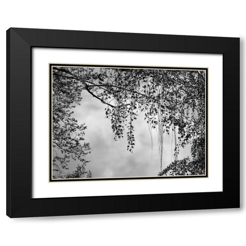 Summer Afternoon BW Black Modern Wood Framed Art Print with Double Matting by Poinski, Dianne