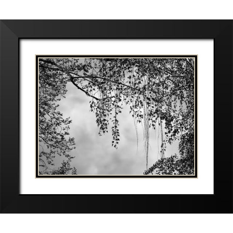 Summer Afternoon BW Black Modern Wood Framed Art Print with Double Matting by Poinski, Dianne