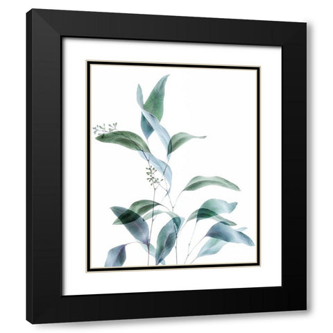Gentle Botanical 1 Black Modern Wood Framed Art Print with Double Matting by Poinski, Dianne