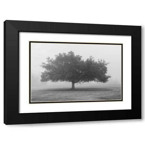Trees in Fog BW Black Modern Wood Framed Art Print with Double Matting by Poinski, Dianne