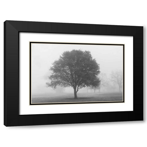 Trees in Fog BW Black Modern Wood Framed Art Print with Double Matting by Poinski, Dianne