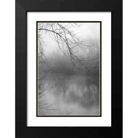 Misty Pond 1 BW Black Modern Wood Framed Art Print with Double Matting by Poinski, Dianne