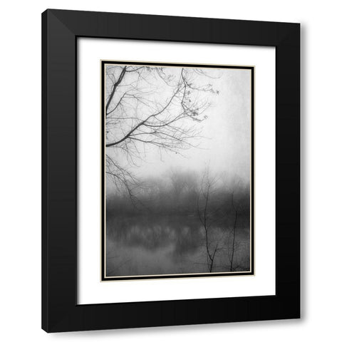 Misty Pond 2 BW Black Modern Wood Framed Art Print with Double Matting by Poinski, Dianne