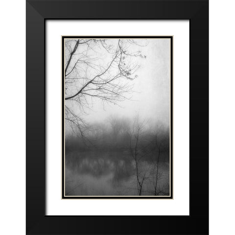Misty Pond 2 BW Black Modern Wood Framed Art Print with Double Matting by Poinski, Dianne