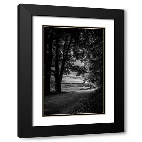 Jenne Farm Tree Tunnel Black Modern Wood Framed Art Print with Double Matting by Rowland, Joseph